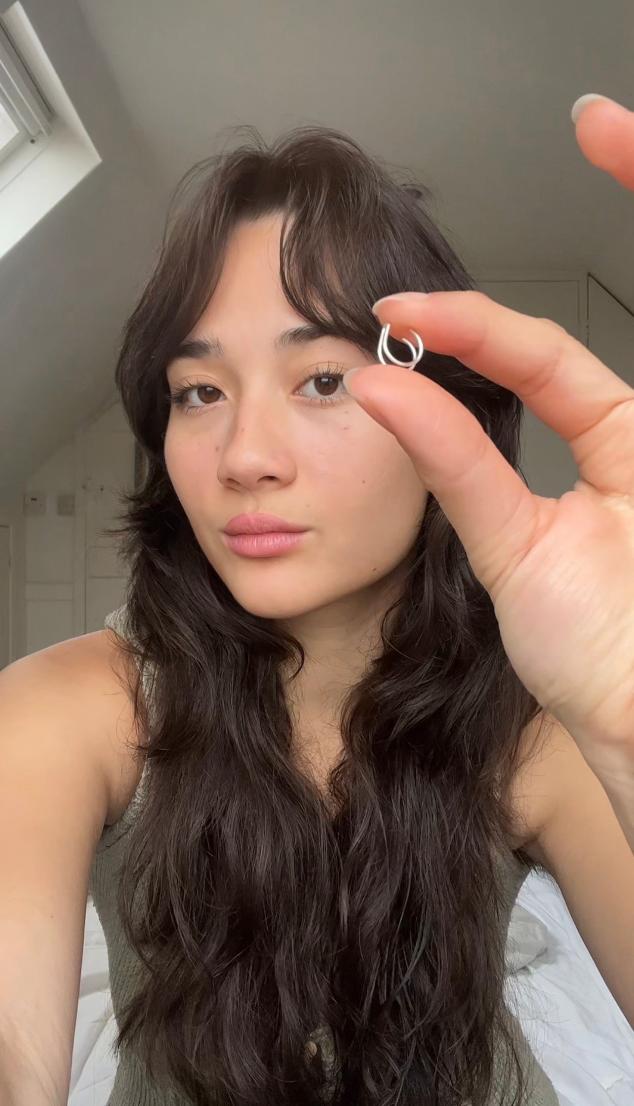 Silver Double Fake Nose Ring